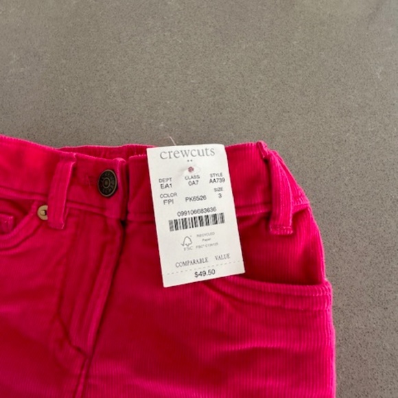 NWT-J. Crew Factory Kids 3T Pink Corduroy Pants - Picture 3 of 5